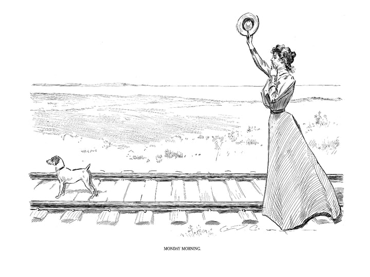 The Complete Charles Dana Gibson: A Widow and Her Friends, 1899 to 1901