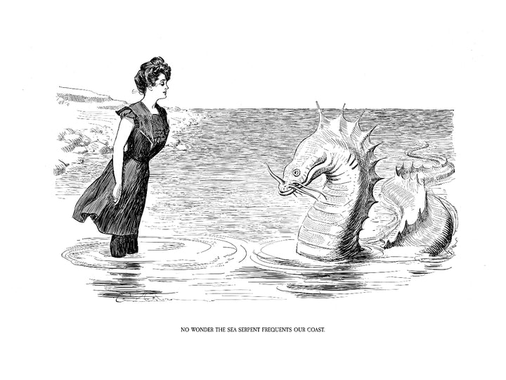 The Complete Charles Dana Gibson: A Widow and Her Friends, 1899 to 1901