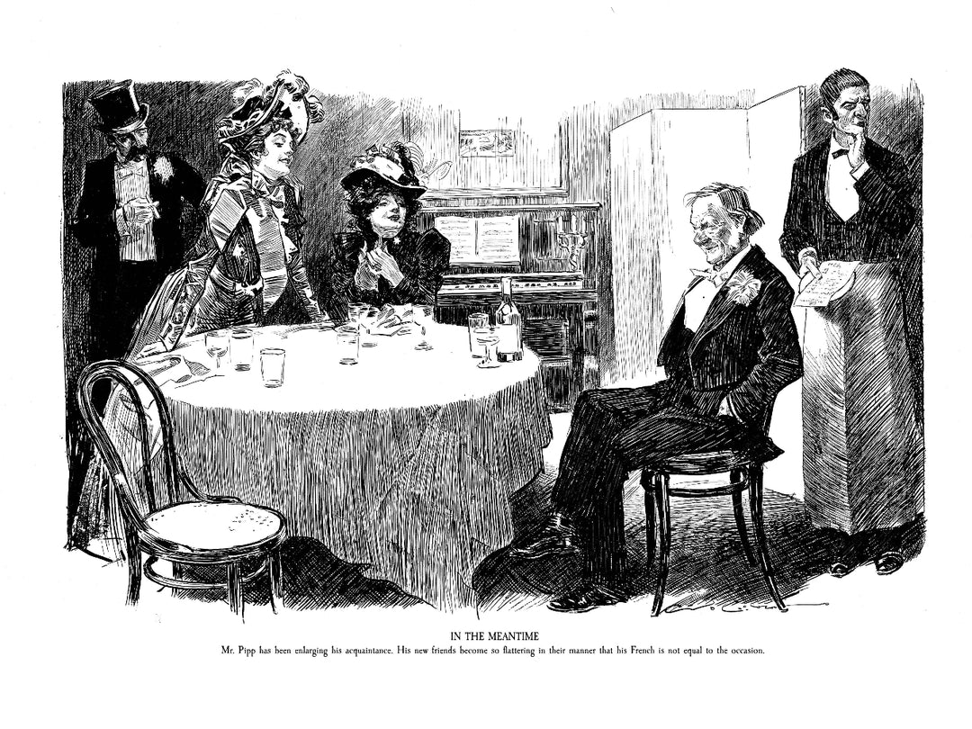 The Complete Charles Dana Gibson: A Widow and Her Friends, 1899 to 1901
