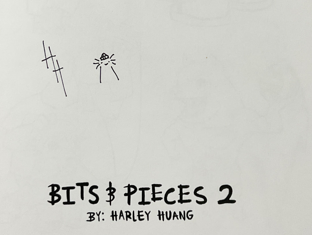 Bits and Pieces 2 - Signed