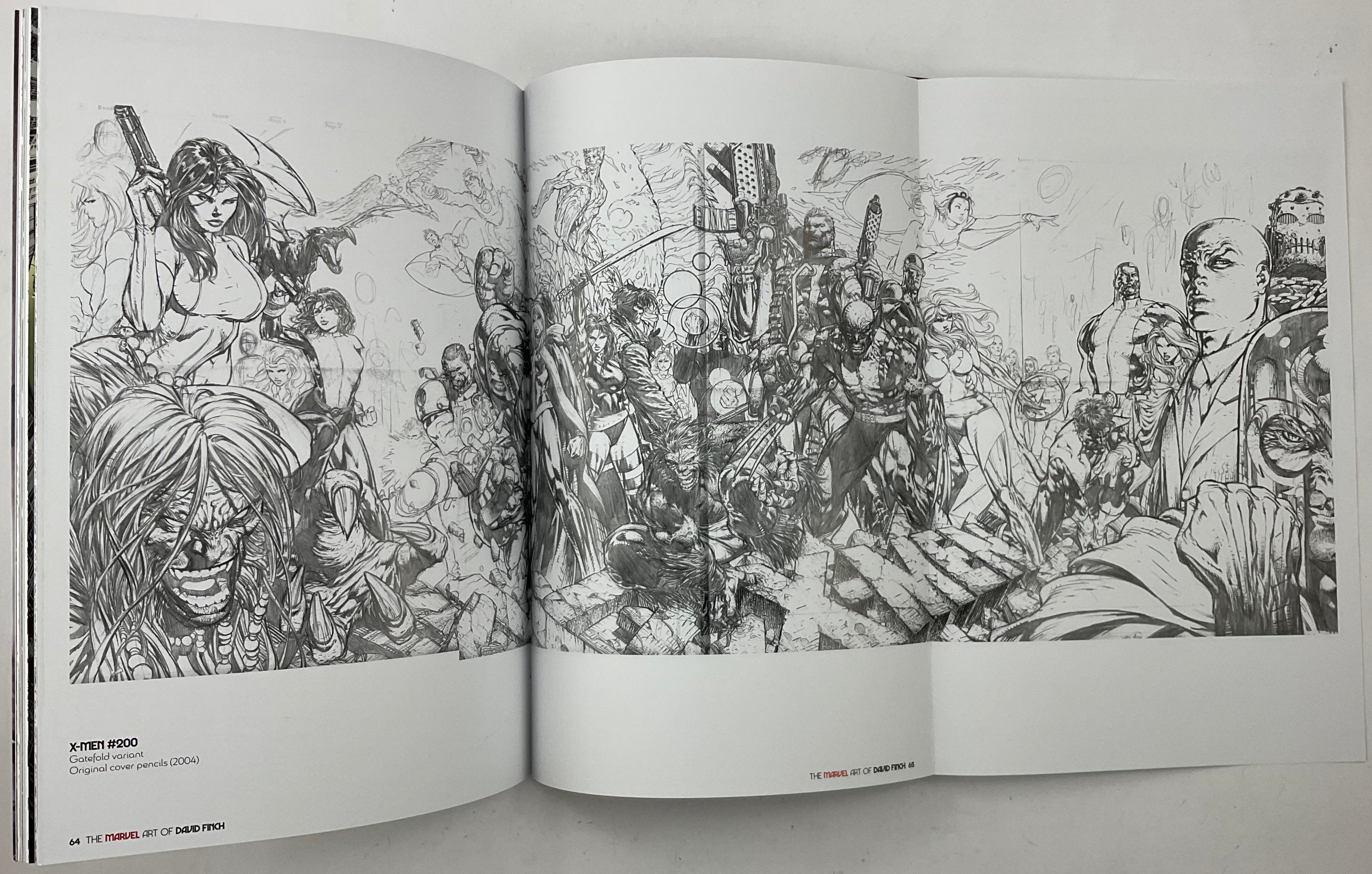 The Marvel Art of David Finch - Hardcover Set - Signed – Stuart Ng