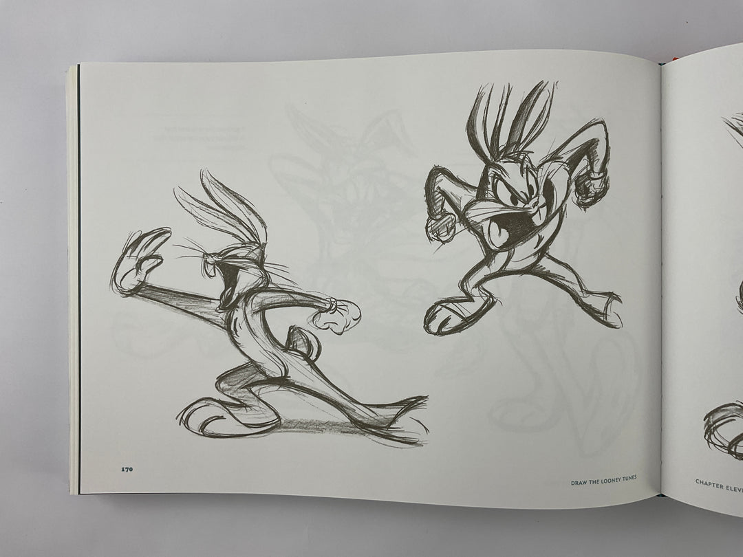 Draw the Looney Tunes: The Warner Bros. Character Design Manual