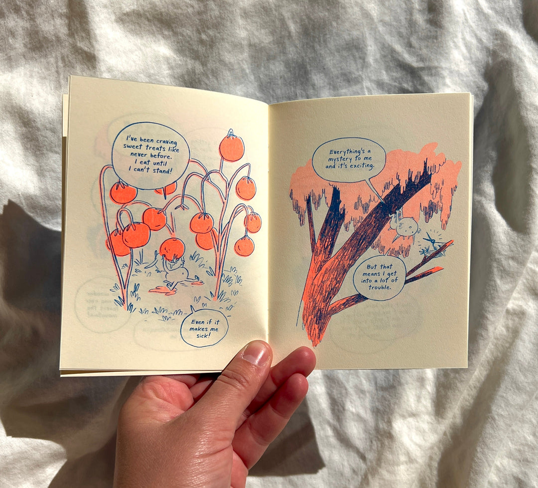 The Demon on Sourwood Mountain Riso Comic