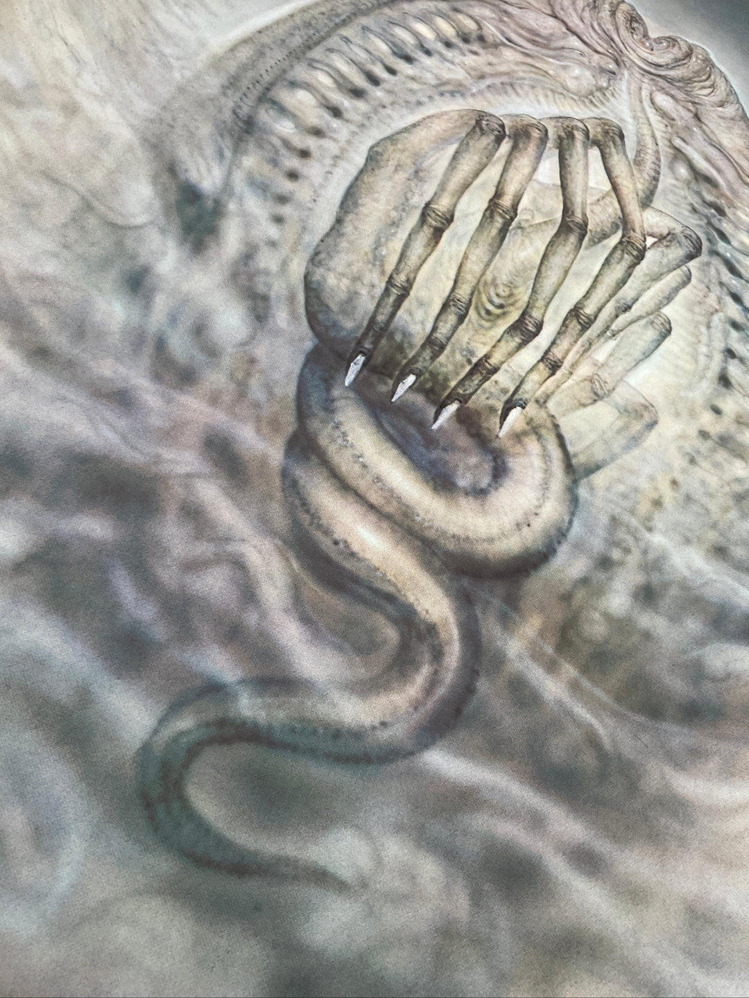 "Alien Egg" Alien 20th Century-Fox Art Print Signed & Numbered by H. R. Giger
