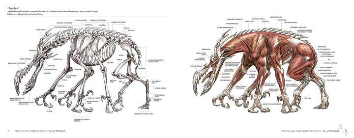 Principles of Creature Design: Creating Imaginary Animals