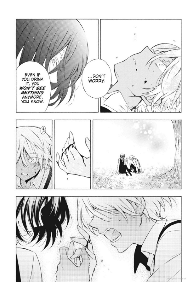 The Case Study of Vanitas Vol. 2