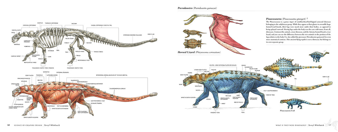 Science of Creature Design: Understanding Animal Anatomy - First Printing