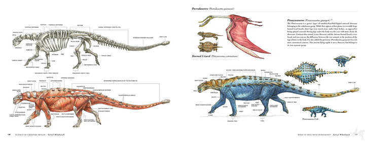 Science of Creature Design: Understanding Animal Anatomy - First Printing
