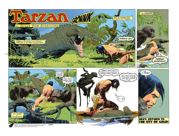 Tarzan: The New Adventures