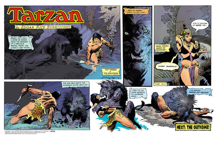 Tarzan: The New Adventures