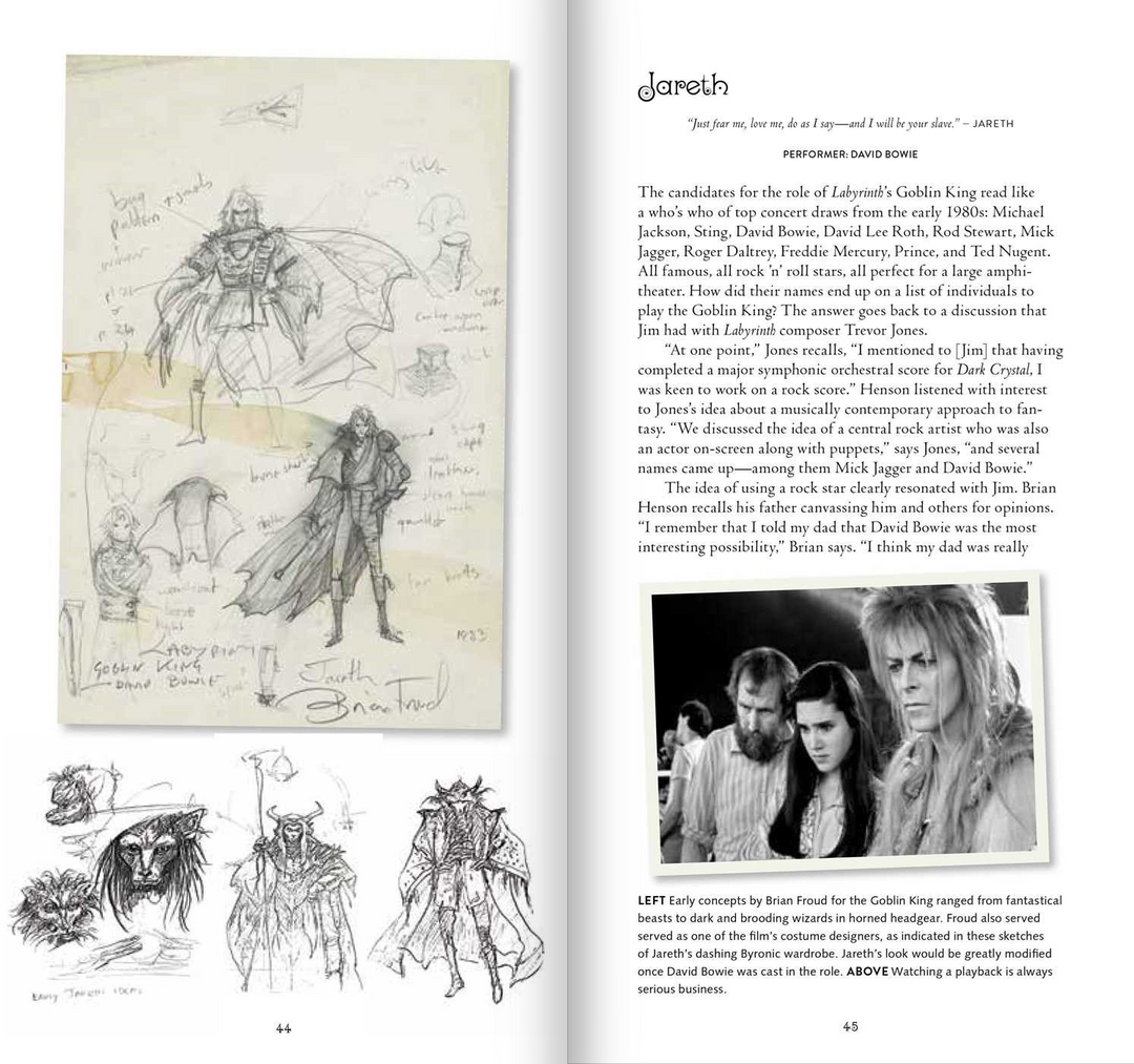 Labyrinth: VHS: The Making of Jim Henson's Iconic Film
