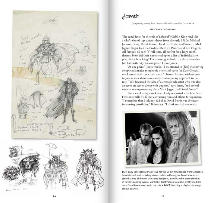 Labyrinth: VHS: The Making of Jim Henson's Iconic Film