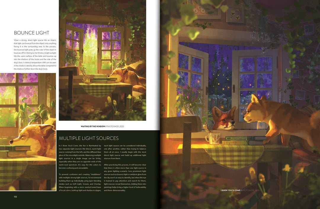 Windows to Worlds: The Art of Devin Elle Kurtz - Signed Kickstarter Edition