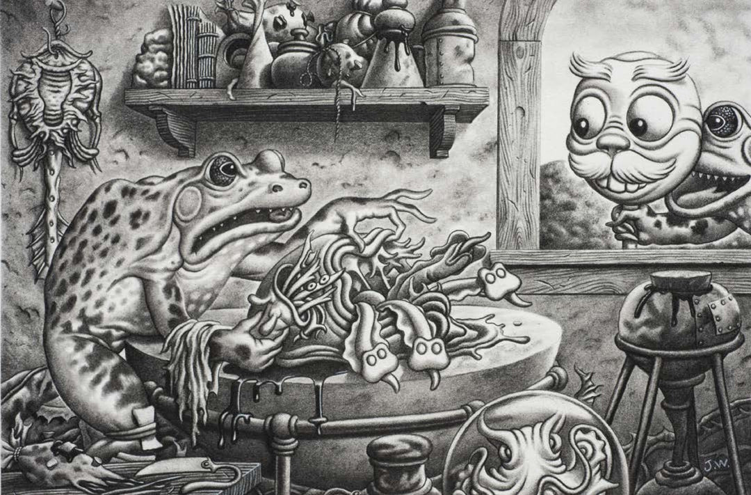The Art Of 13 / Jim Woodring