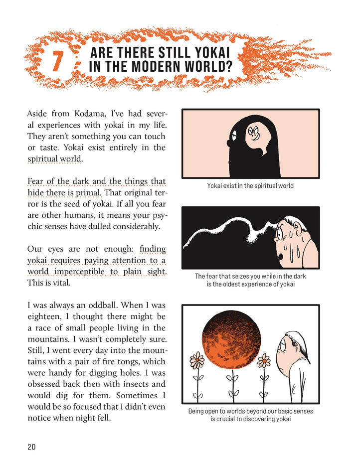 The Definitive Yokai Field Guide