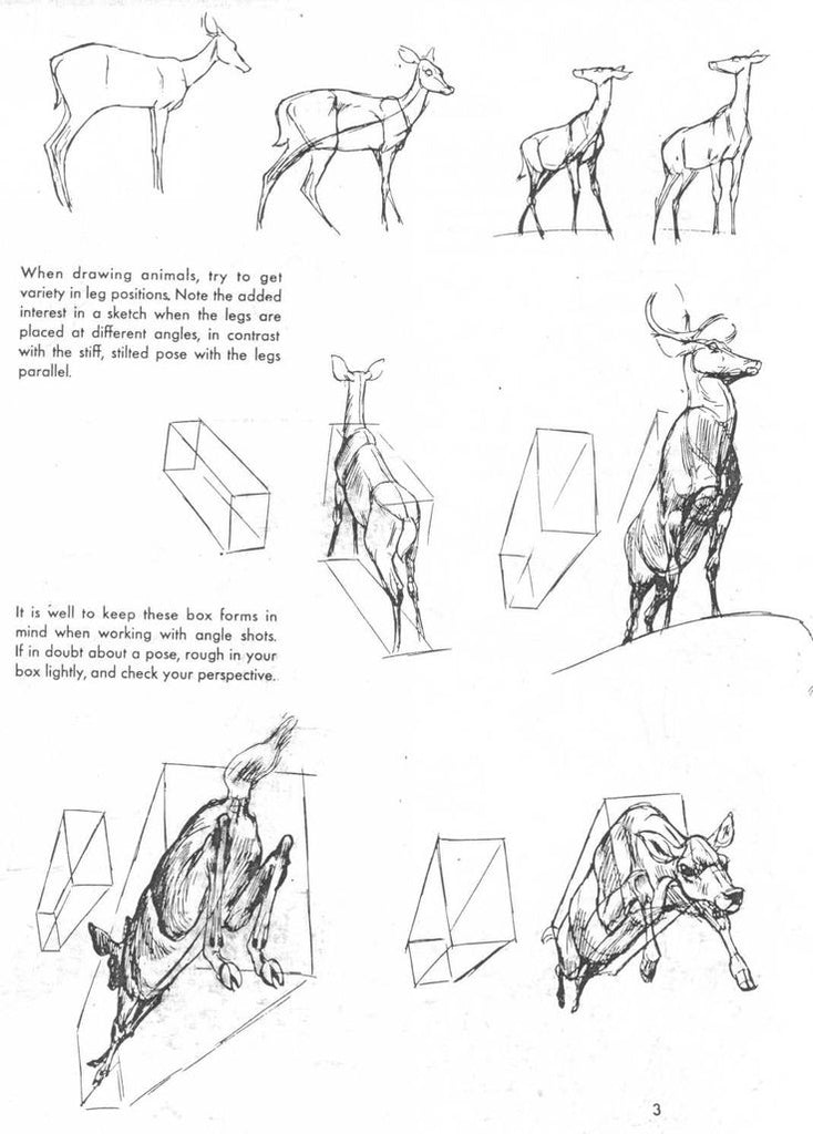 The Art of Animal Drawing: Construction, Action Analysis, Caricature
