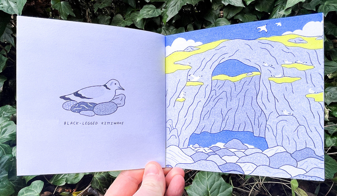 Iceland Travel Zine by Min Heo