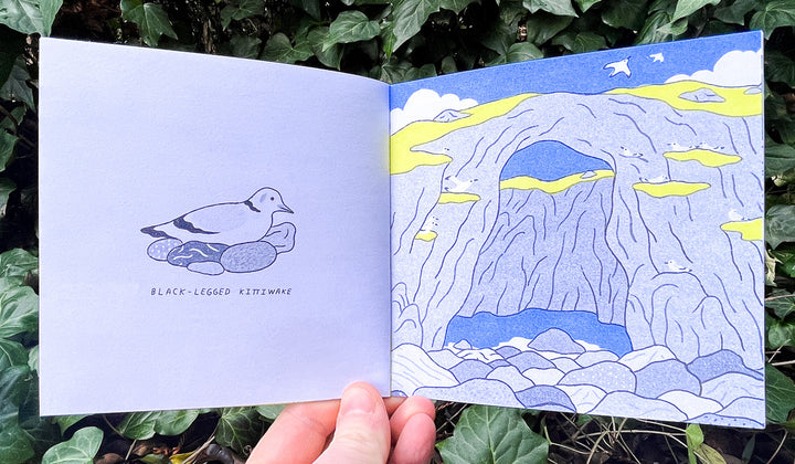 Iceland Travel Zine by Min Heo