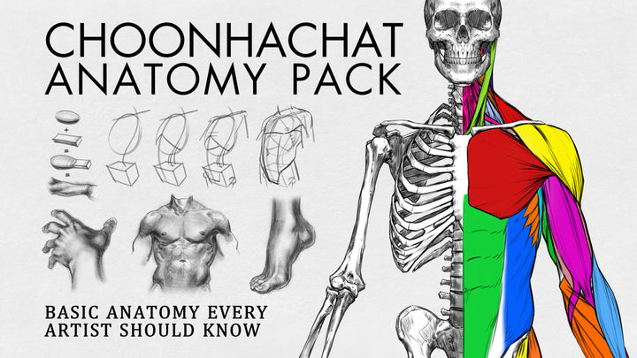 Choonhachat Anatomy Pack