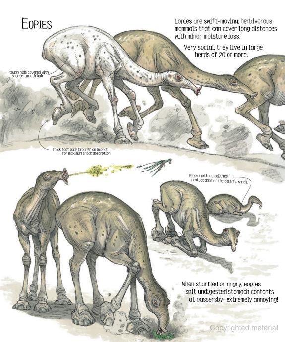 The Wildlife of Star Wars: A Field Guide – Stuart Ng Books
