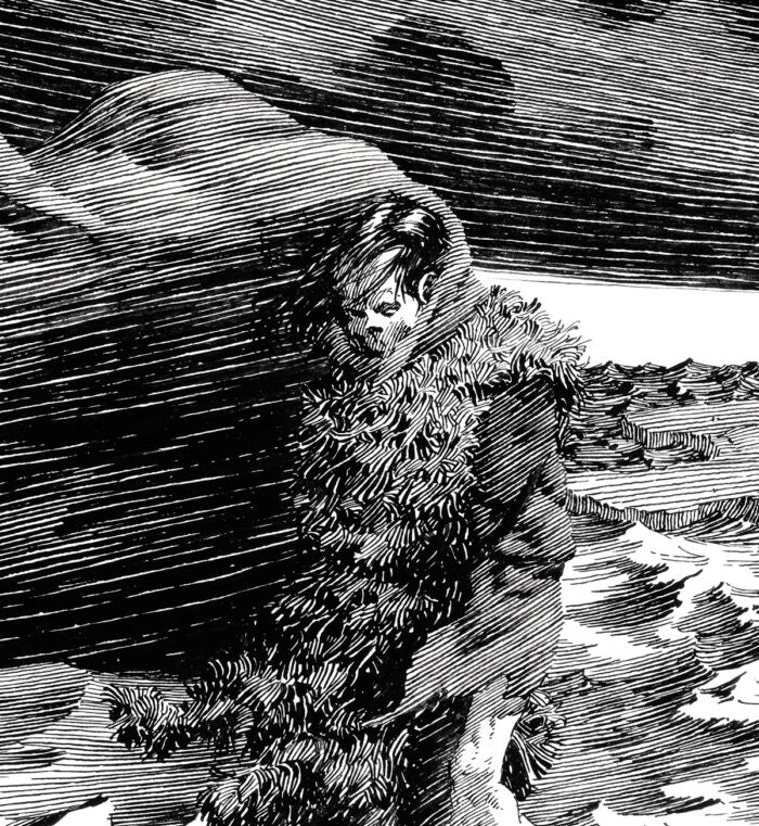 Frankenstein "Lost in Darkness and Distance" Artist Edition - Limited Edition Print