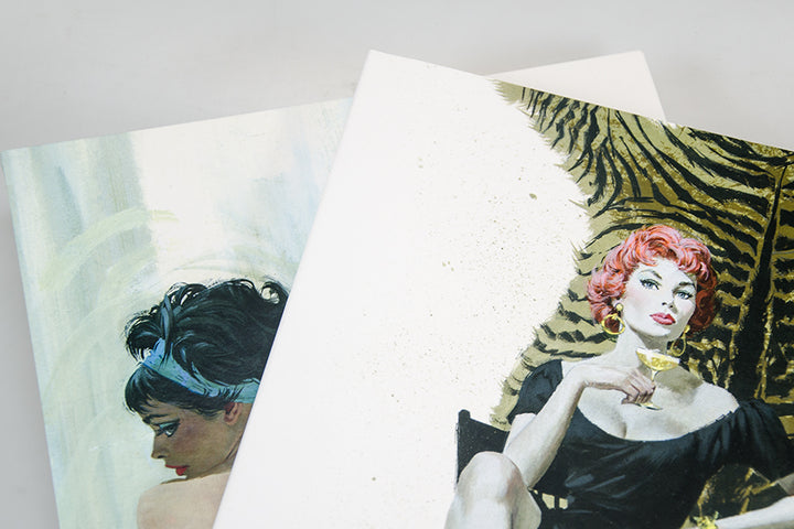 The Art of Robert E. McGinnis - Signed & Numbered Deluxe Limited Edition