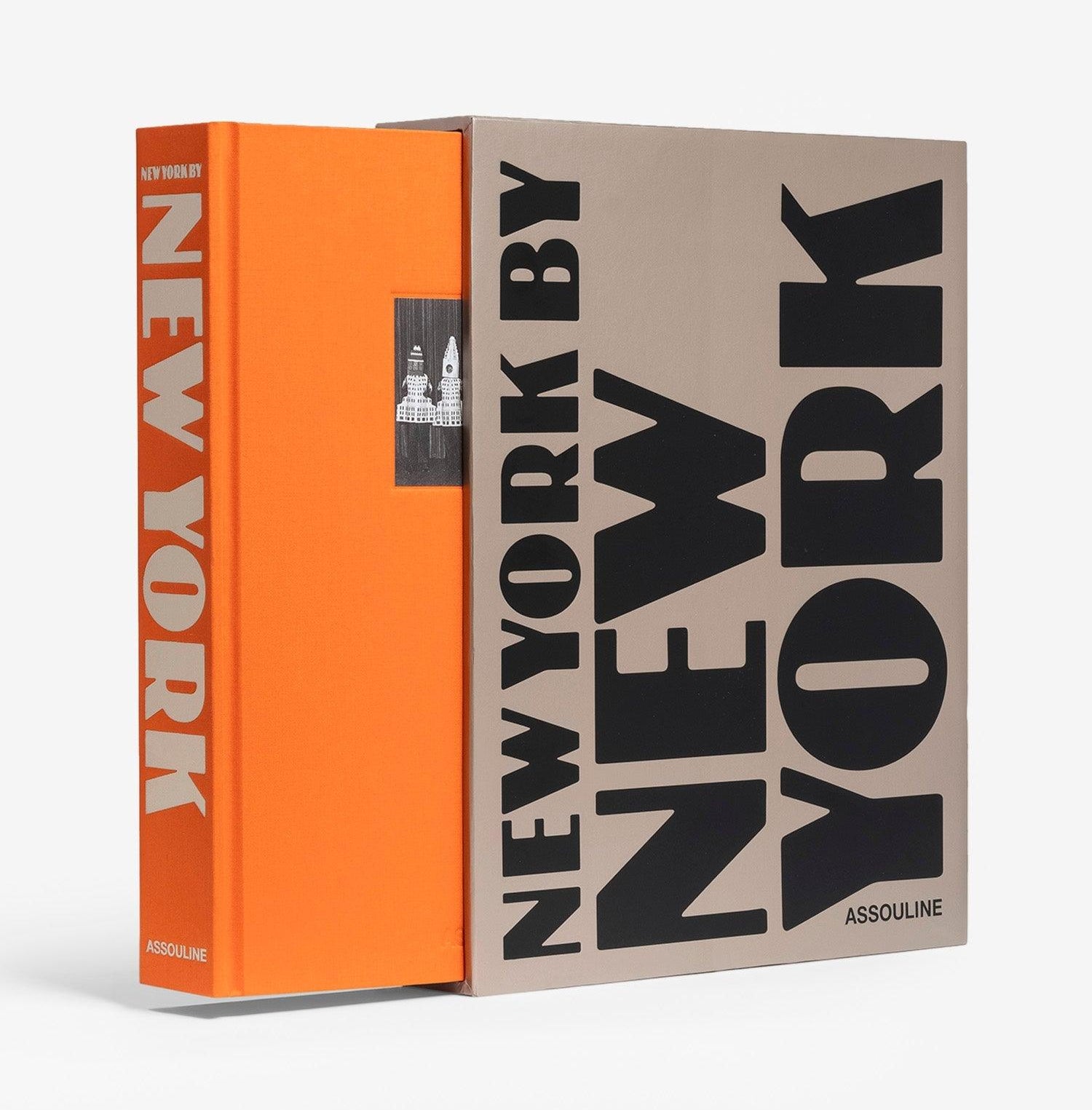 [2007] THE LIGHT OF NEW YORK アスリーヌ社 New York by New York – Stuart Ng Books