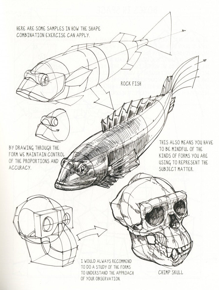 The Dynamic Bible (Revised Edition) Signed with a Drawing