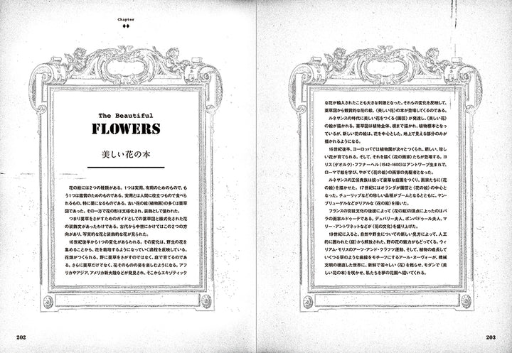 Beautiful Book Designs: From the Middle Ages to the Mid 20th Century