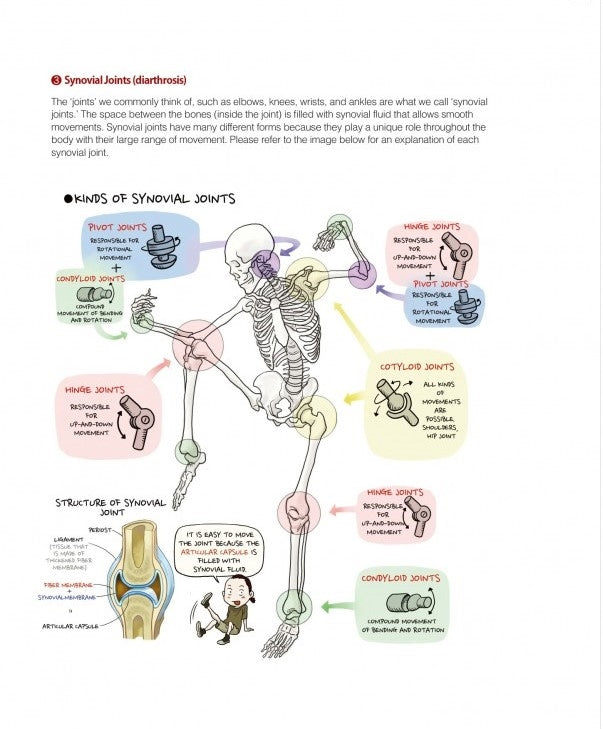 Stonehouse's Anatomy (Stonehouse Anatomy Note) in English