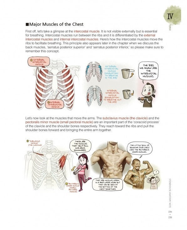 Stonehouse's Anatomy (Stonehouse Anatomy Note) in English