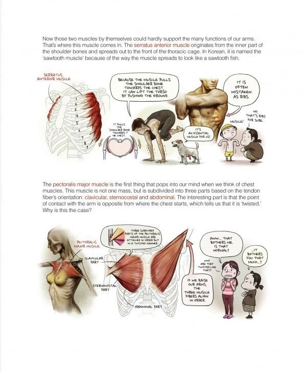 Stonehouse's Anatomy (Stonehouse Anatomy Note) in English