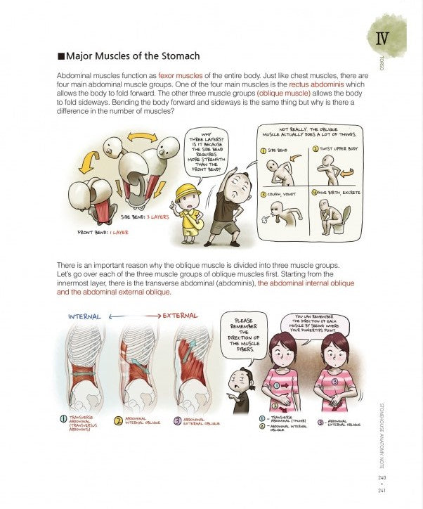 Stonehouse's Anatomy (Stonehouse Anatomy Note) in English