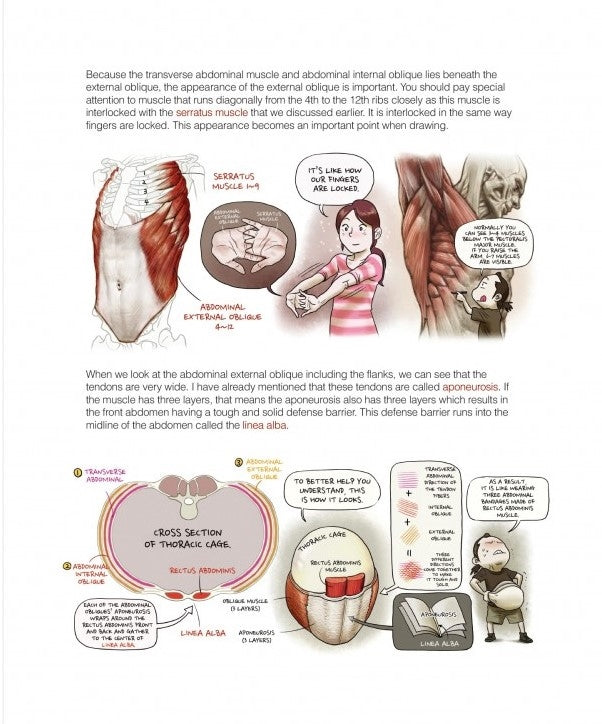 Stonehouse's Anatomy (Stonehouse Anatomy Note) in English