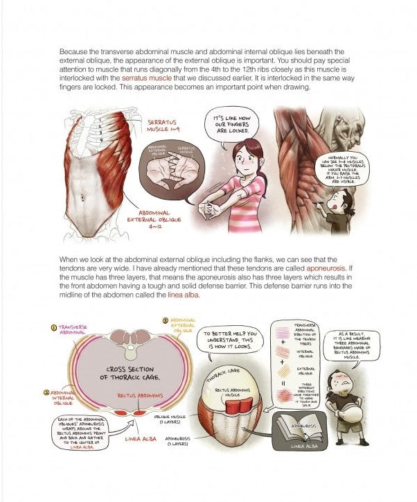 Stonehouse's Anatomy (Stonehouse Anatomy Note) in English – Stuart Ng Books