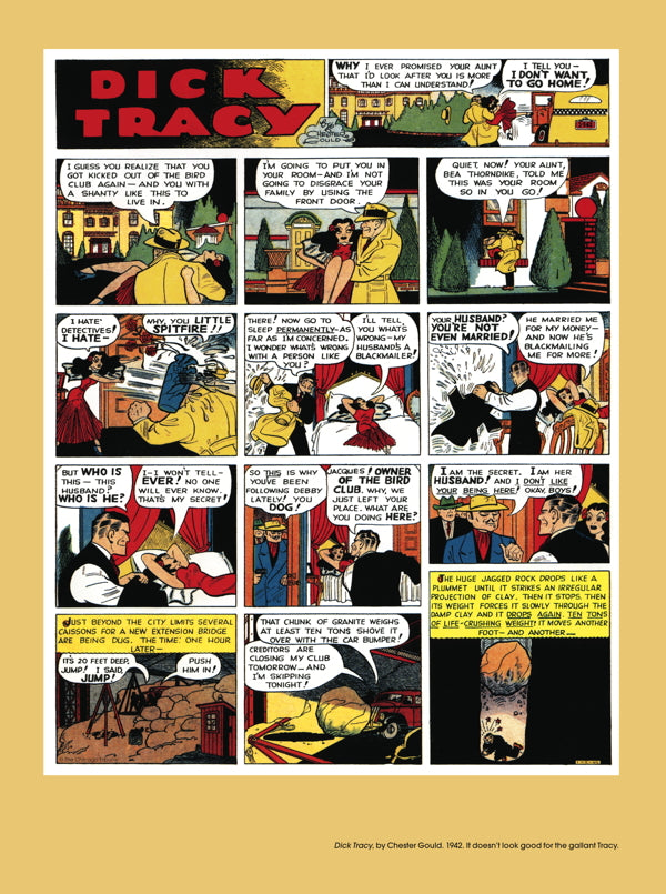 The Comics: An Illustrated History of Comic Strip Art 1895 - 2010