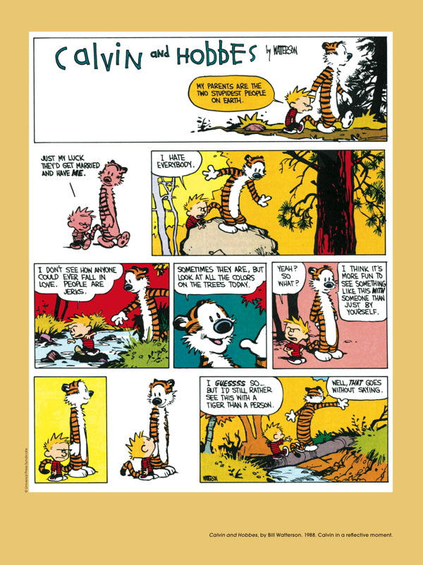 The Comics: An Illustrated History of Comic Strip Art 1895 - 2010