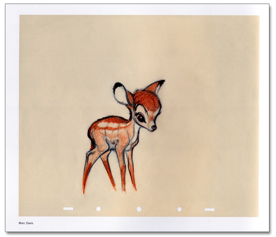 Design - Walt Disney Animation Archive Series