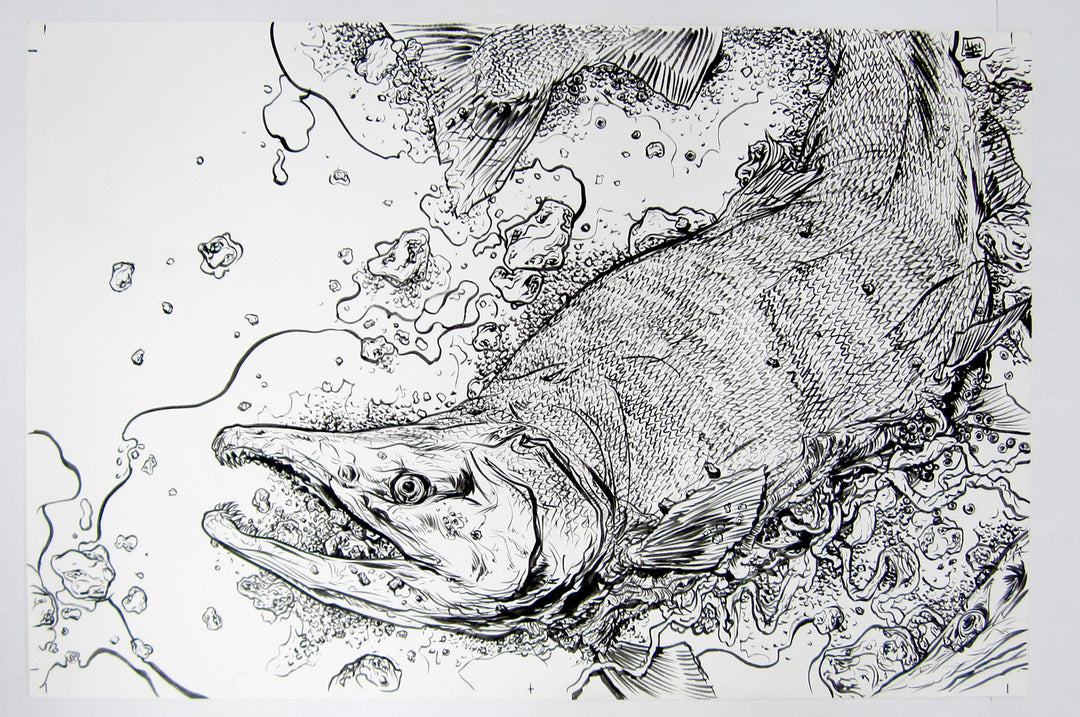 Original Ink Illustration - Salmon