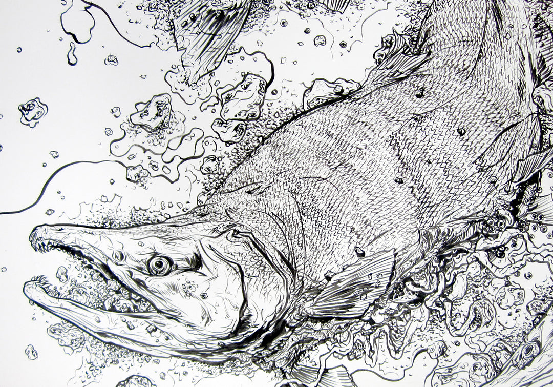 Original Ink Illustration - Salmon