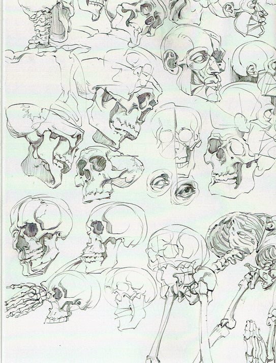 Nate Dino Sketches