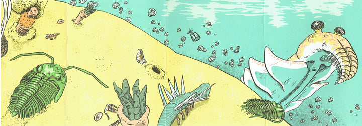 The Paleozoic Book 1: The Cambrian