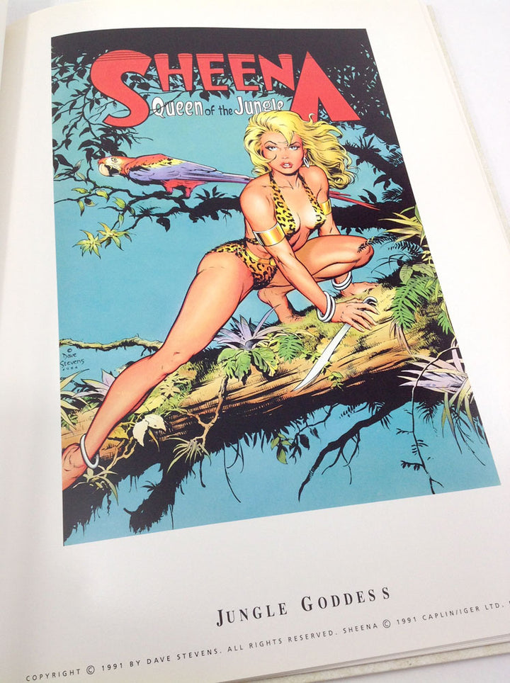 Just Teasing - Signed & Numbered Deluxe Hardcover - with an original Drawing of Bettie Page
