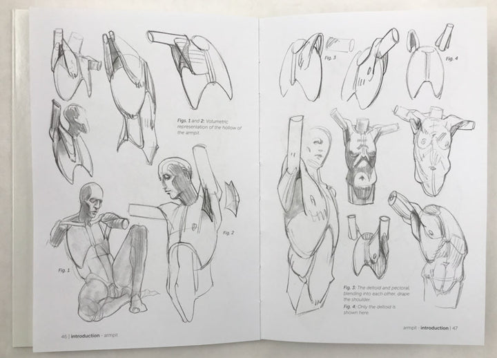 Morpho: Simplified Forms: Anatomy for Artists