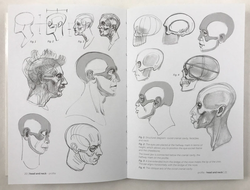 skeleton hand  Skeleton drawings, Bone drawing, Sketchbook art inspiration