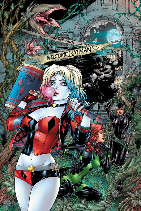 Harley Quinn: A Rogue's Gallery--The Deluxe Cover Art Collection