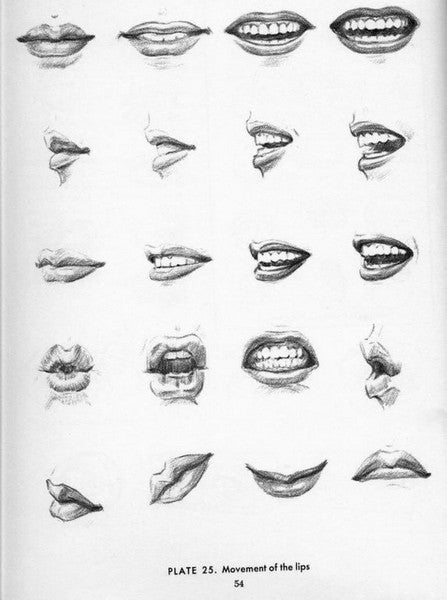 Drawing the Head and Hands