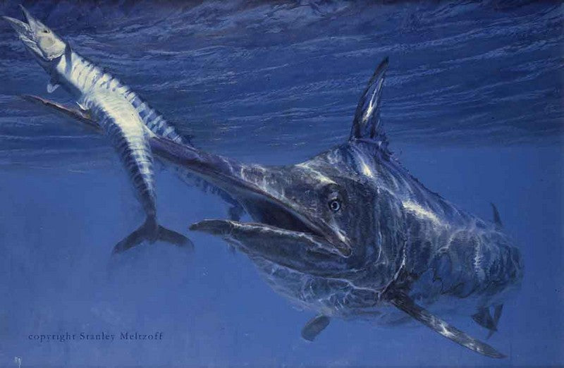 Black Marlin & Wahoo (Signed Lithograph)